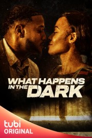 What Happens in the Dark poster