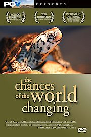 The Chances of the World Changing poster