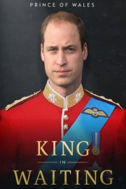 Prince of Wales: King in Waiting poster