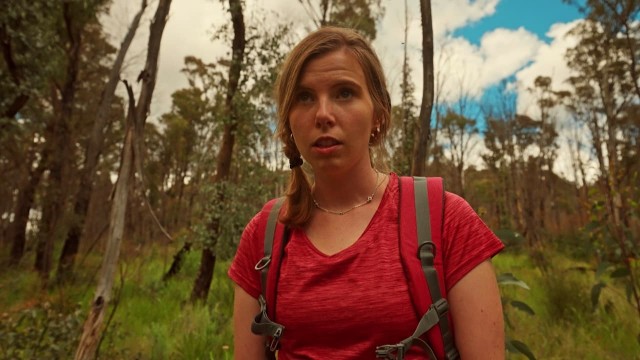 Watch Our Trip to Berribrook Online