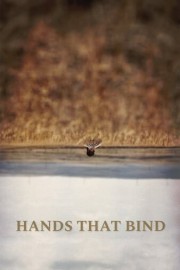 Hands That Bind poster