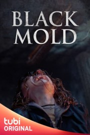 Black Mold poster