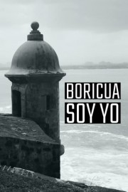 Boricua Soy Yo poster