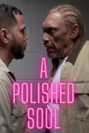 A Polished Soul poster