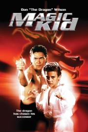 Magic Kid: Ninja Dragons poster