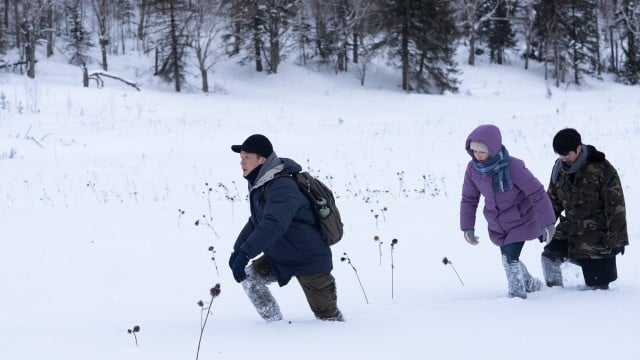 Watch The Breaking Ice Online