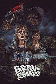 Grave Robbers poster