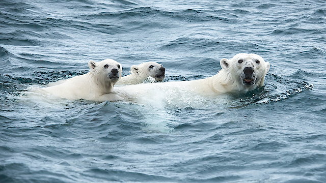 Watch Under Thin Ice Online