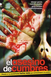El Asesino De Cumbres poster