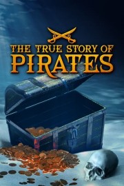The True Story of Pirates poster