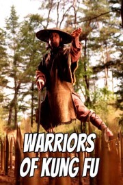 Warriors of Kung Fu poster