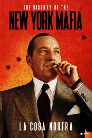 La Cosa Nostra: The History of the New York Mafia poster