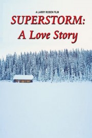 Superstorm: A Love Story poster