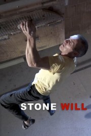 Stone Will poster