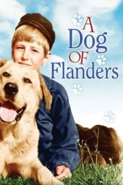 A Dog of Flanders poster