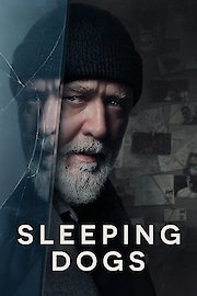 Sleeping Dogs