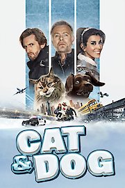 Cat and Dog poster
