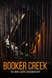 Booker Creek: The Mini Lights Documentary poster