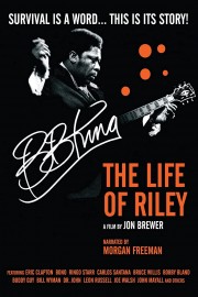 BB King: The Life of Riley poster