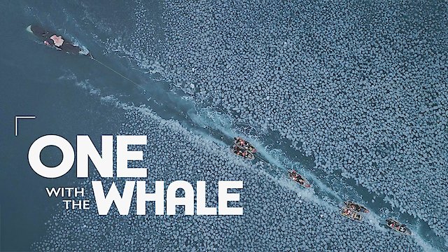 Watch One with the Whale Online