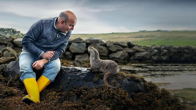 Watch Billy & Molly: An Otter Love Story Online