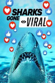 Sharks Gone Viral