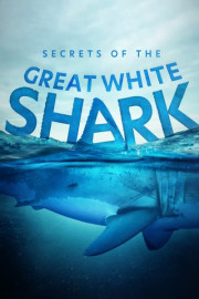Secrets of the Great White Shark poster