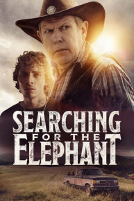 Searching for the Elephant