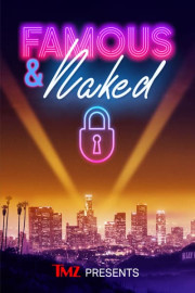 TMZ Presents: Famous & Naked poster