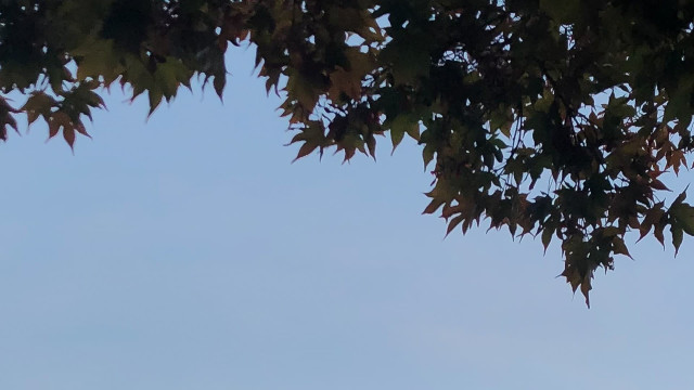 Watch This Must Be The Place Online