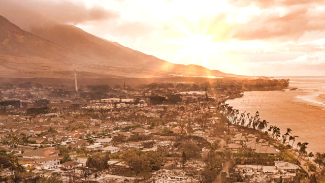 Watch Maui Strong 808: Rising From The Ashes Online