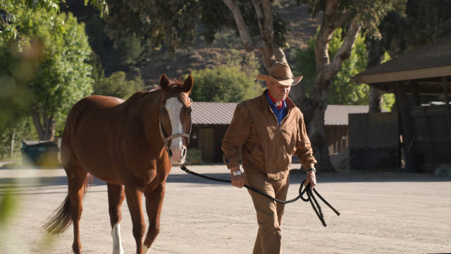 Watch The Cowboy and the Queen Online