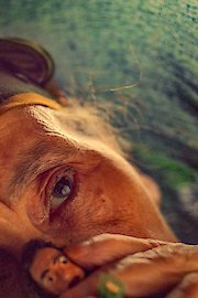 The Mother of All Lies