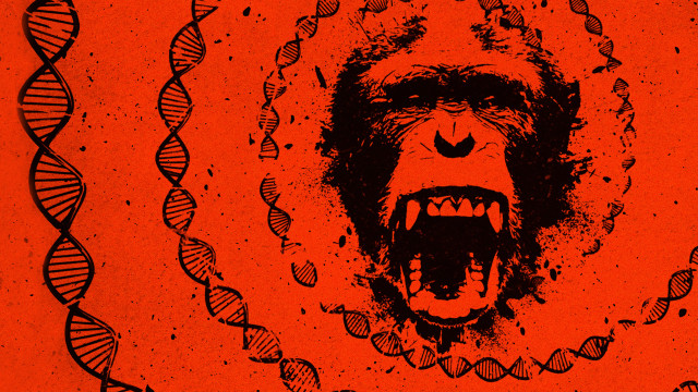 Watch Almost Human: Rise of the Apes Online