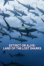 Extinct or Alive: Land of the Lost Sharks