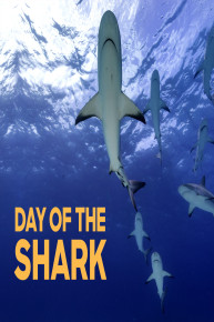 Day of the Shark