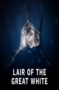 Lair of the Great White