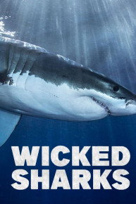 Wicked Sharks