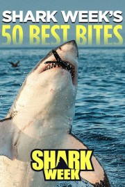 Shark Week's 50 Best Bites