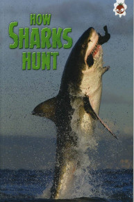 How Sharks Hunt