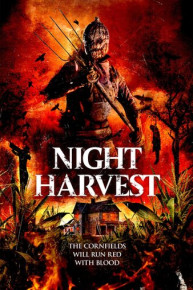 Night Harvest