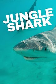 Jungle Shark