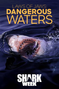 Laws of Jaws: Dangerous Waters