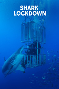 Shark Lockdown