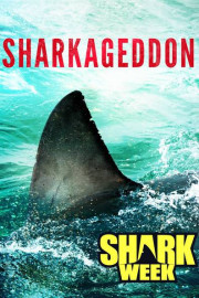 Sharkageddon