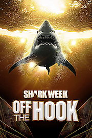 Shark Week: Off the Hook
