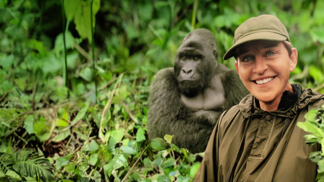 Watch Saving the Gorillas: Ellen's Next Adventure Online