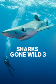 Sharks Gone Wild 3