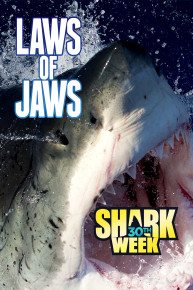 Laws of Jaws