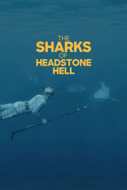 The Sharks of Headstone Hell